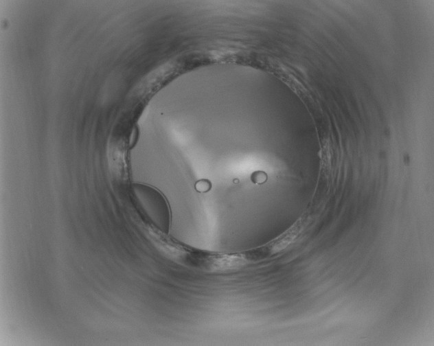 X0000075900527200610062121