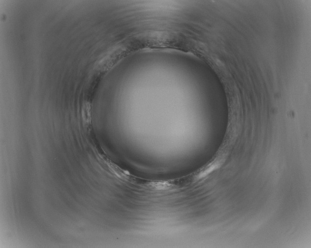 X0000075900528200610062121