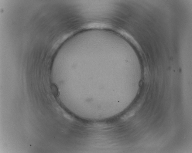 X0000075900529200610062120