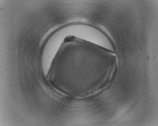 X0000075900531200610062120