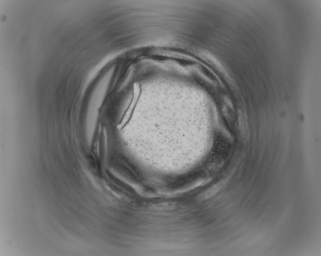 X0000075900532200610062120