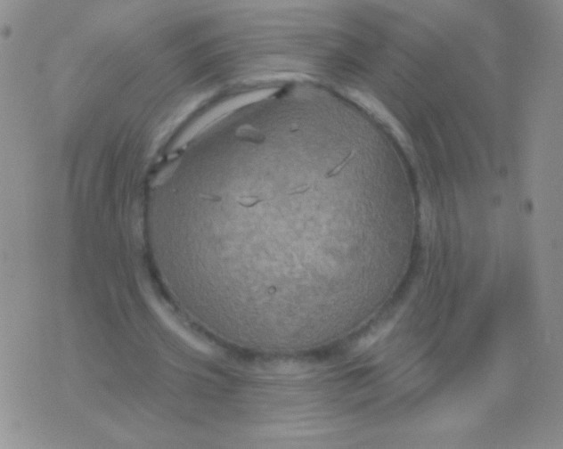 X0000075900533200610062120