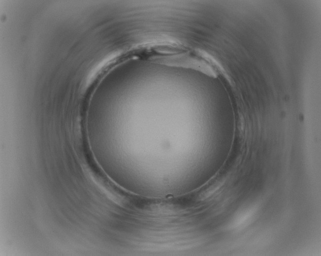 X0000075900535200610062120