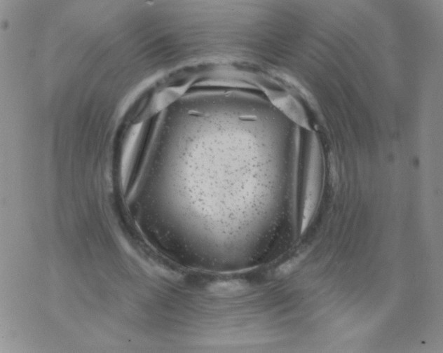 X0000075900536200610062120