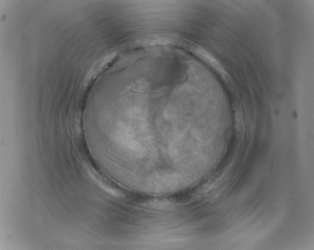 X0000075900537200610062120