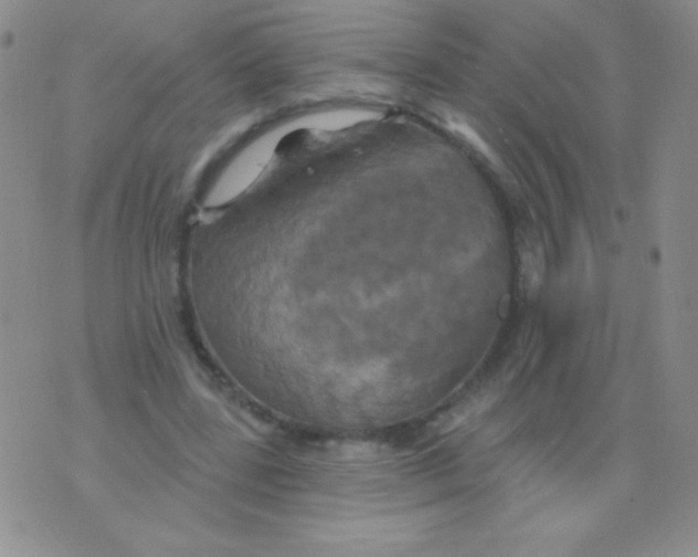 X0000075900539200610062120