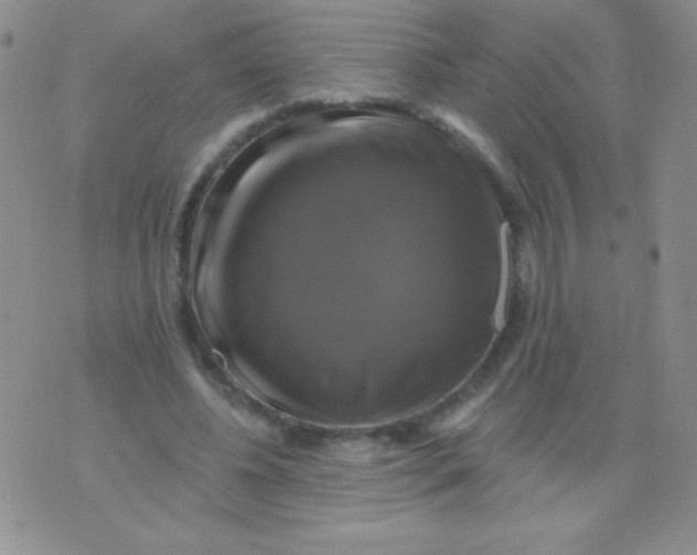 X0000075900540200610062120