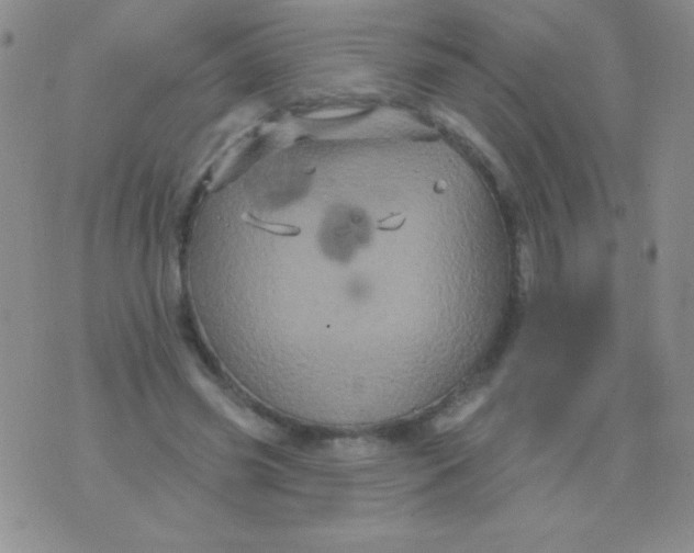 X0000075900541200610062120