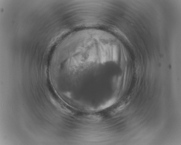 X0000075900542200610062120