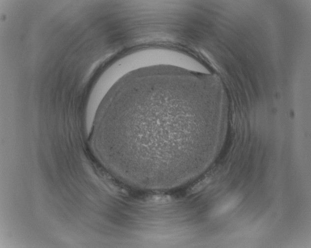 X0000075900543200610062120