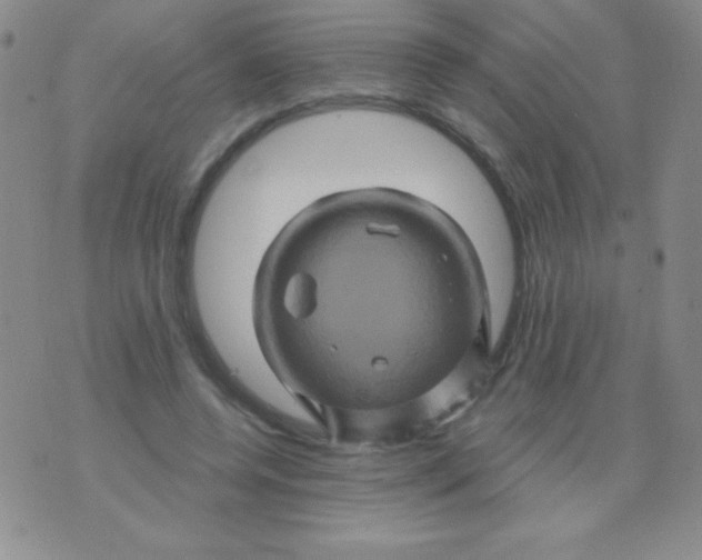 X0000075900544200610062120