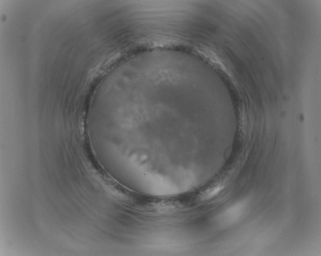 X0000075900545200610062120