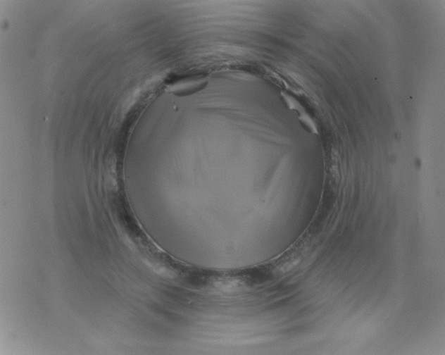 X0000075900547200610062120