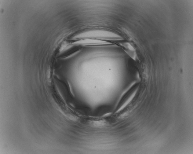 X0000075900548200610062120