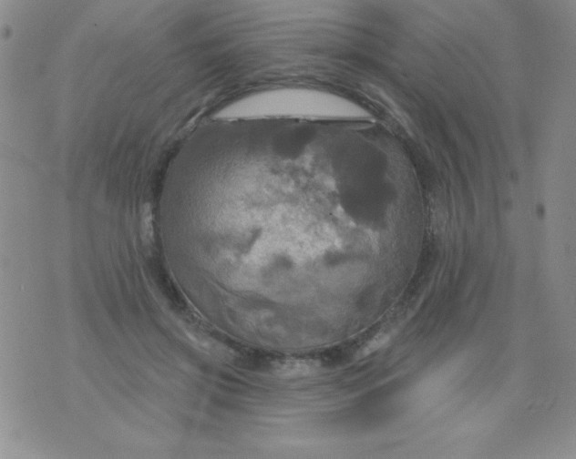 X0000075900549200610062120