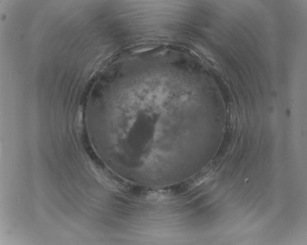 X0000075900550200610062120