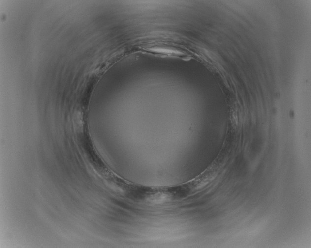 X0000075900551200610062120