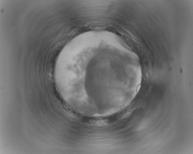 X0000075900553200610062120