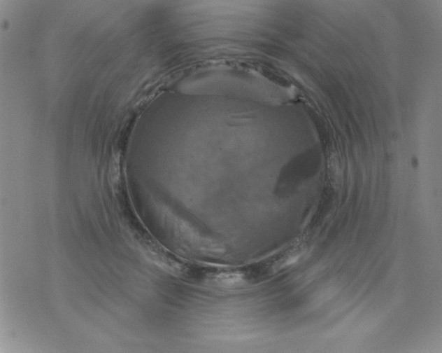 X0000075900554200610062120