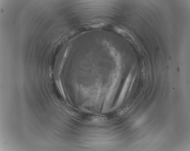 X0000075900555200610062120