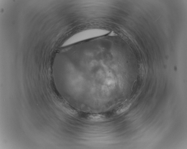 X0000075900557200610062120