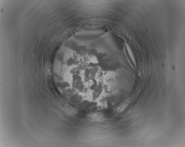 X0000075900561200610062120