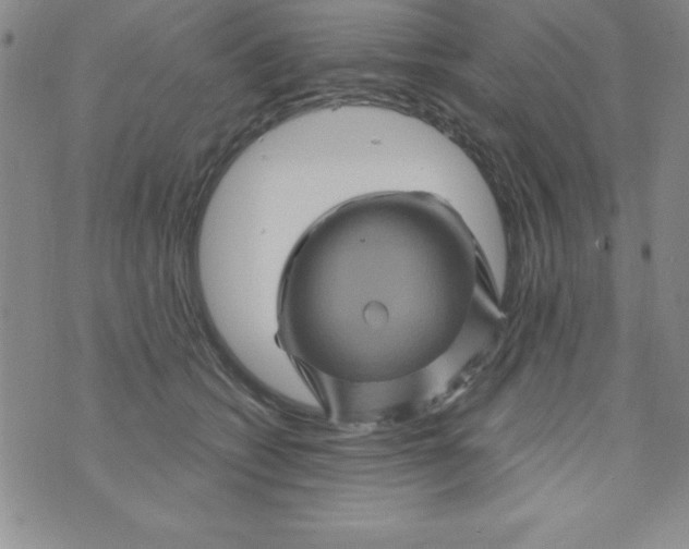 X0000075900562200610062120