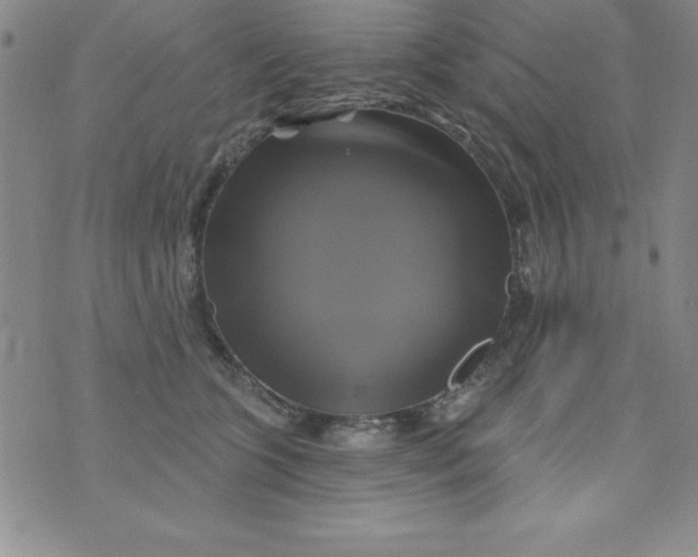 X0000075900563200610062120