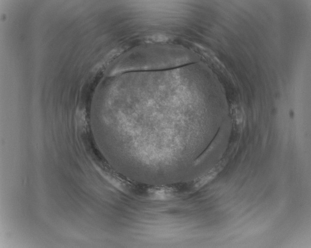 X0000075900564200610062121