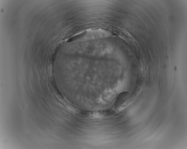 X0000075900565200610062121