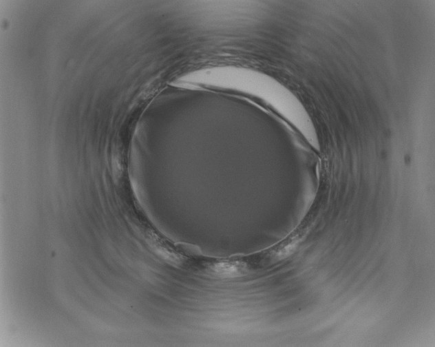 X0000075900566200610062121