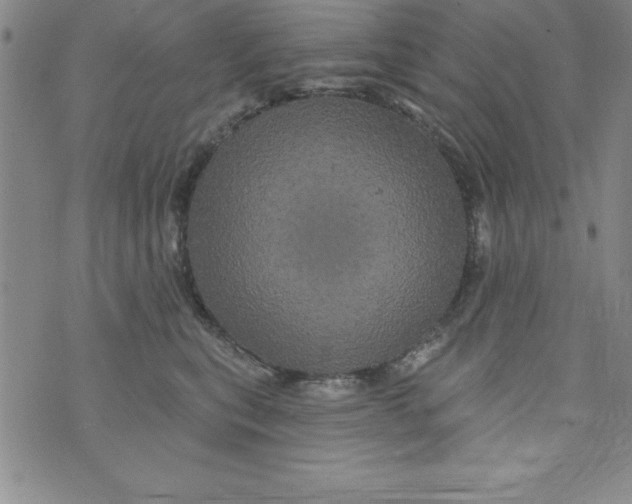 X0000075900567200610062121