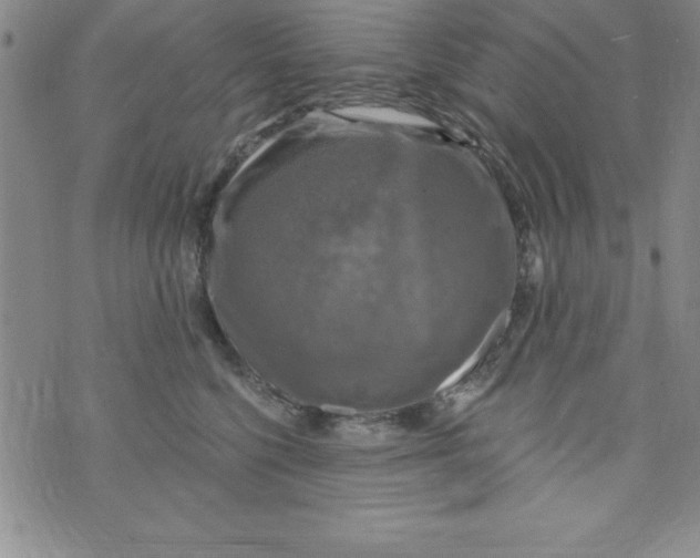 X0000075900568200610062121