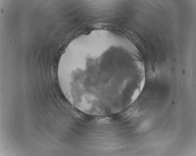 X0000075900569200610062121