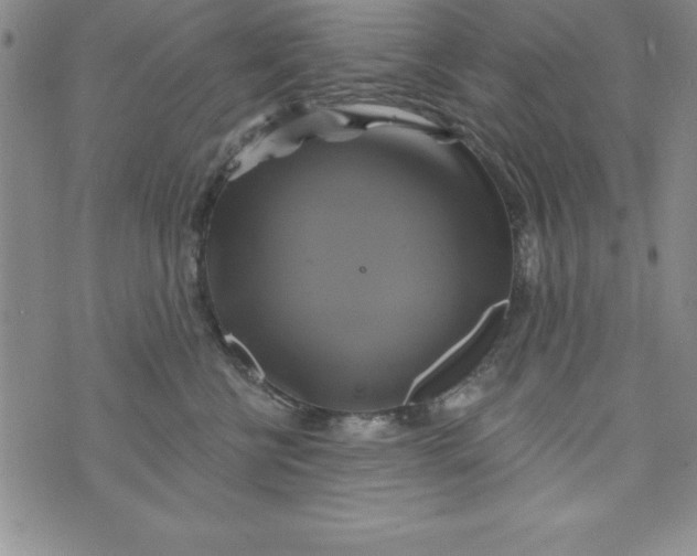 X0000075900570200610062121