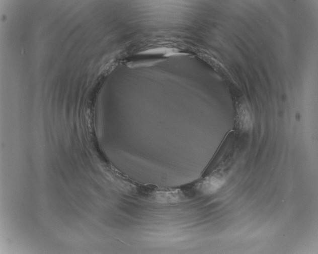 X0000075900571200610062121