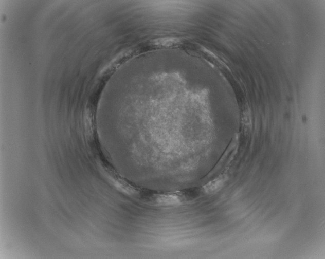 X0000075900572200610062121