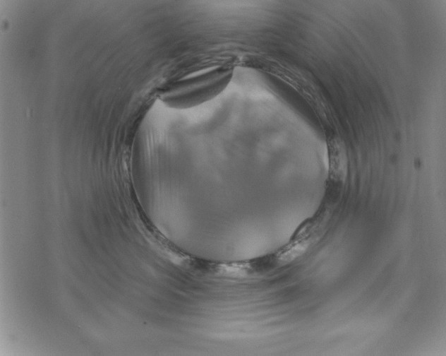 X0000075900573200610062121