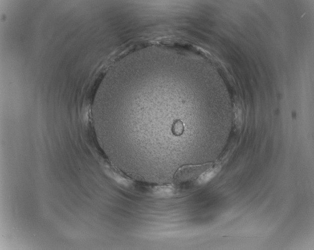 X0000075900574200610062121