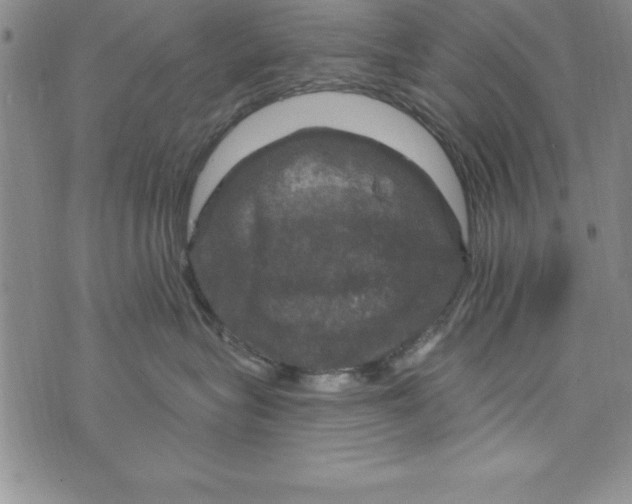 X0000075900575200610062121