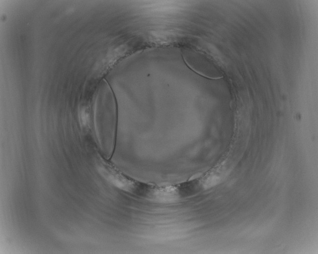 X0000075900576200610062121