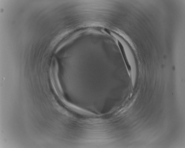 X0000075900577200610062120