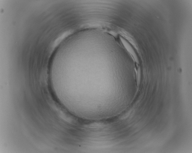 X0000075900578200610062120