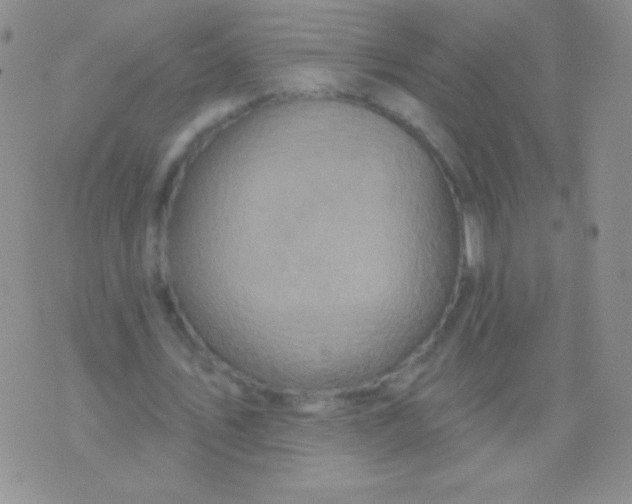 X0000075900579200610062120