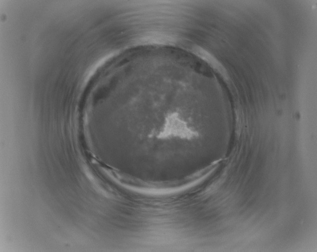 X0000075900580200610062120