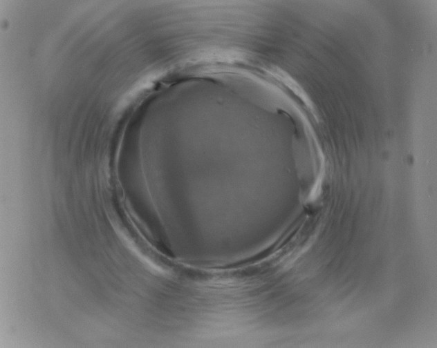 X0000075900581200610062120