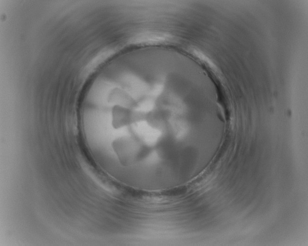 X0000075900582200610062120