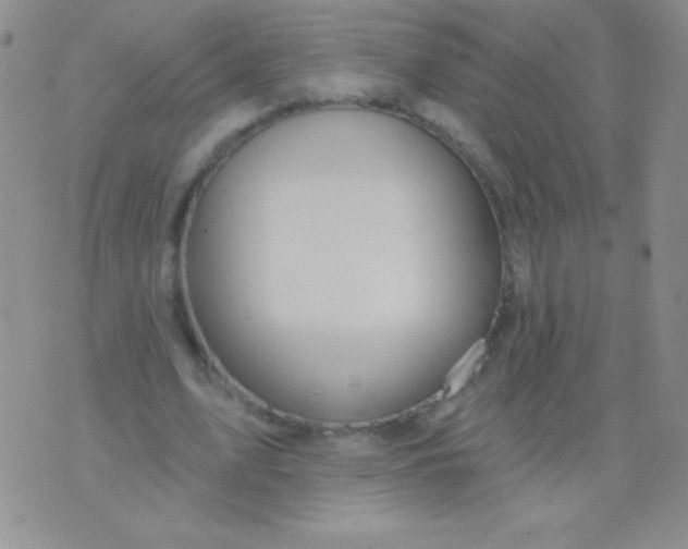 X0000075900583200610062120