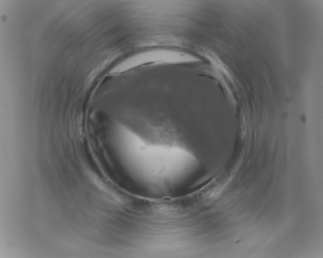 X0000075900585200610062120