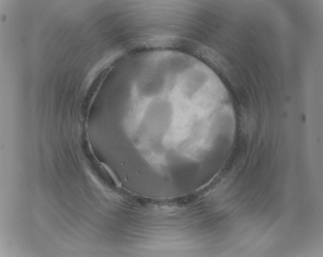 X0000075900586200610062120